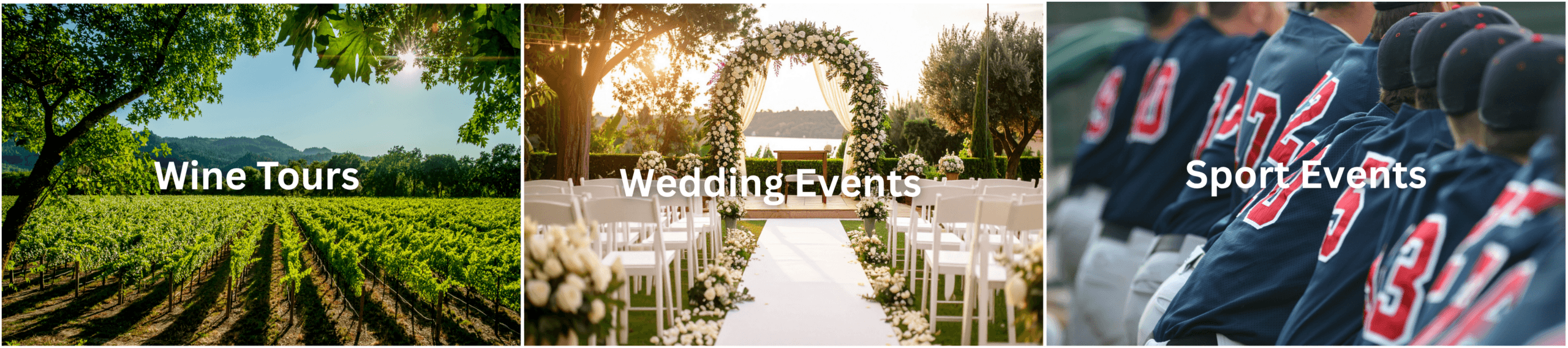 Wine Tours, Wedding Events, Sports Events